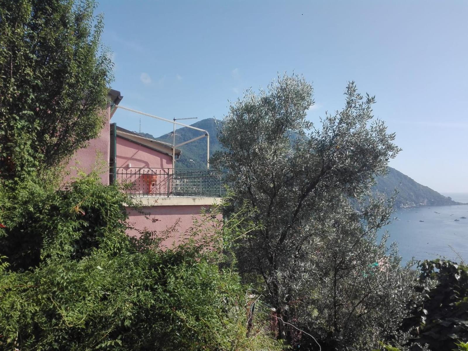 Appartamento Terrazzo Sul Mare Camogli Esterno foto